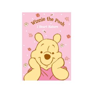 สมุดบันทึกปกอ่อน Pooh - 034